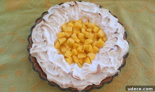 50 Zesty Citrus Desserts: Bright Recipes for Every Occasion 36 Mango Lime Tart