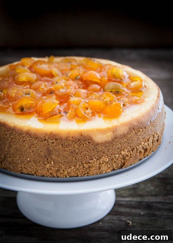 50 Zesty Citrus Desserts: Bright Recipes for Every Occasion 40 Orange Cheesecake with Candied Kumquats