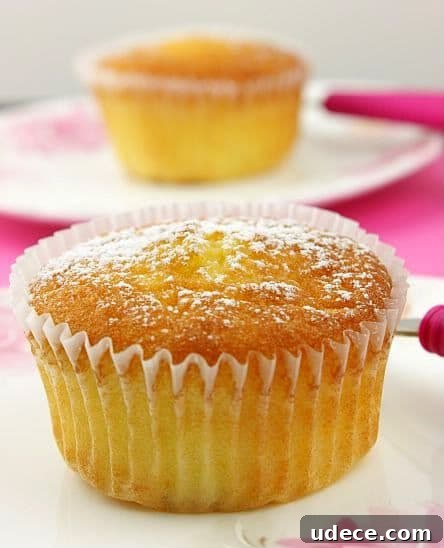 50 Zesty Citrus Desserts: Bright Recipes for Every Occasion 48 Sicilian Orange Cupcakes