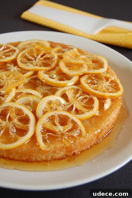 50 Zesty Citrus Desserts: Bright Recipes for Every Occasion 7 candied lemon cake