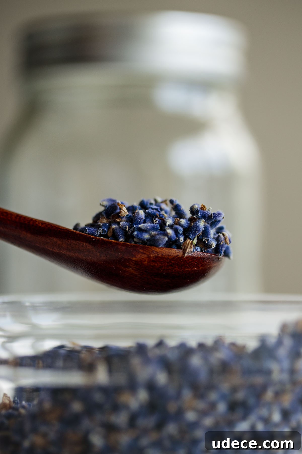 Homemade Lavender Extract for Baking and Cocktails 4 Fresh ingredient being collected for the recipe.
