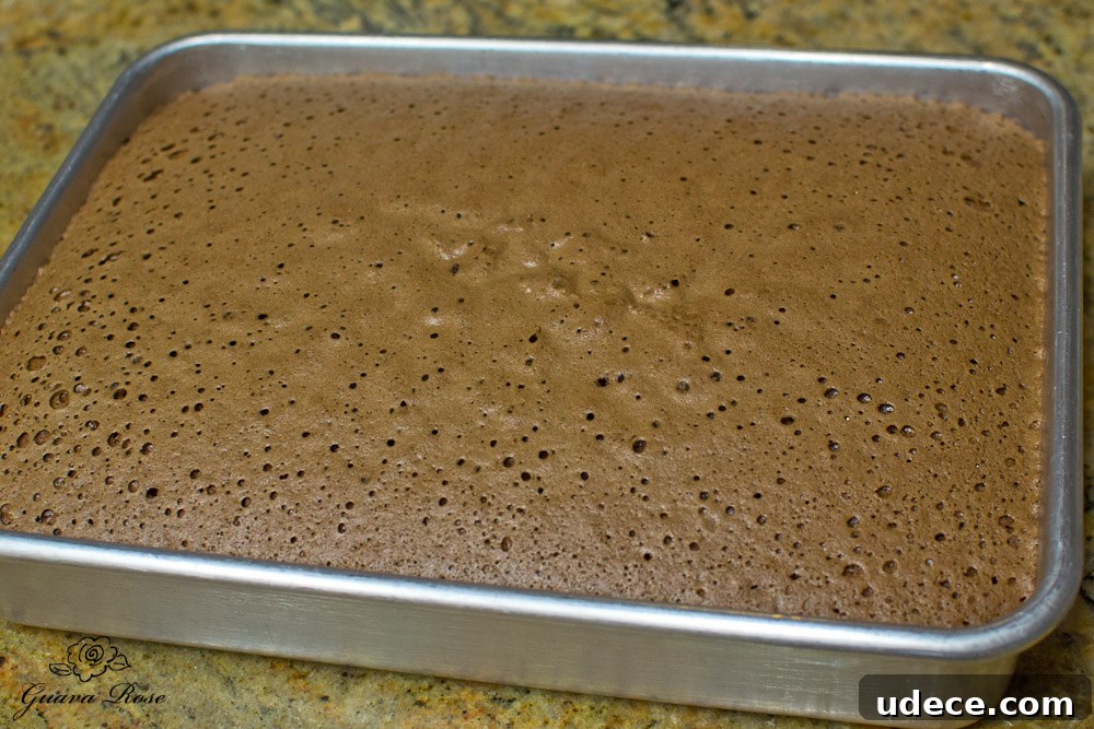 Chocolate chiffon cake