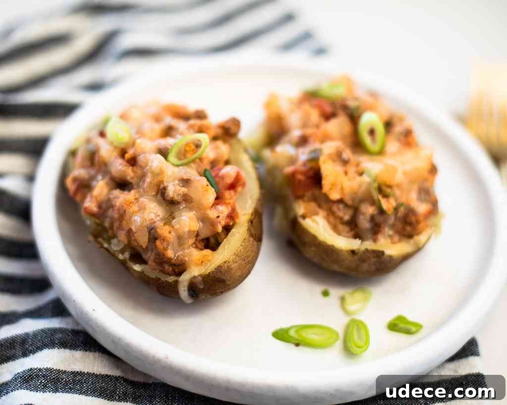 chili potato skins