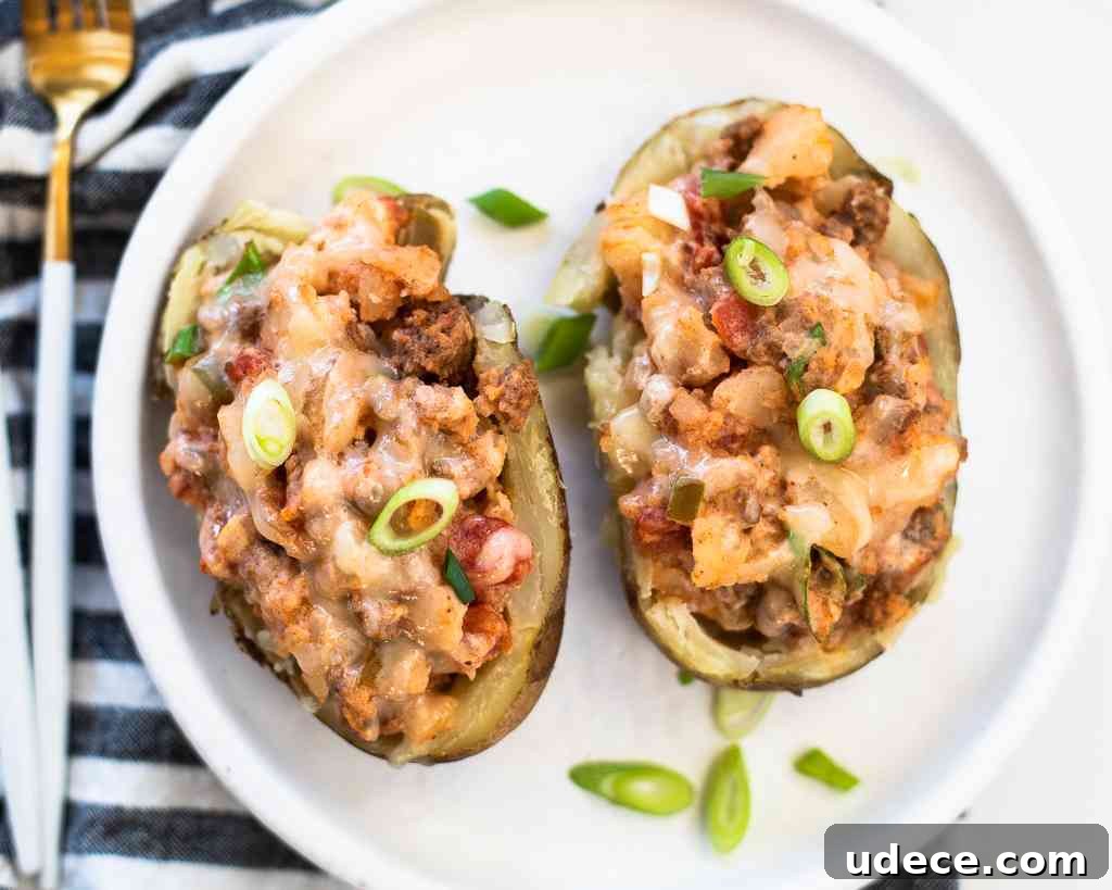 chili potato skins