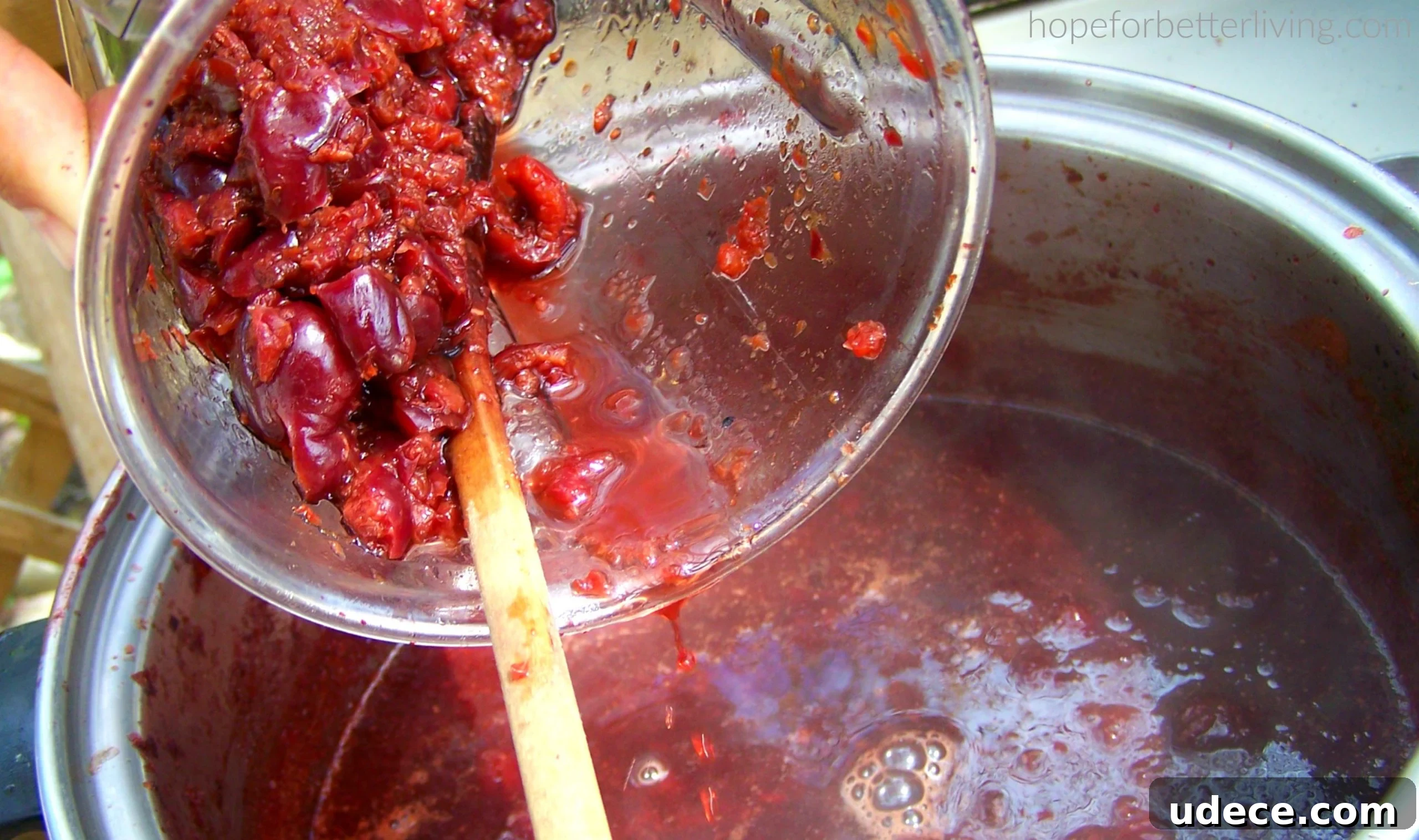 Jam Without Pectin: Simple Stove-Top Strawberry & Mixed Fruit Recipes 3 pectin-free canning