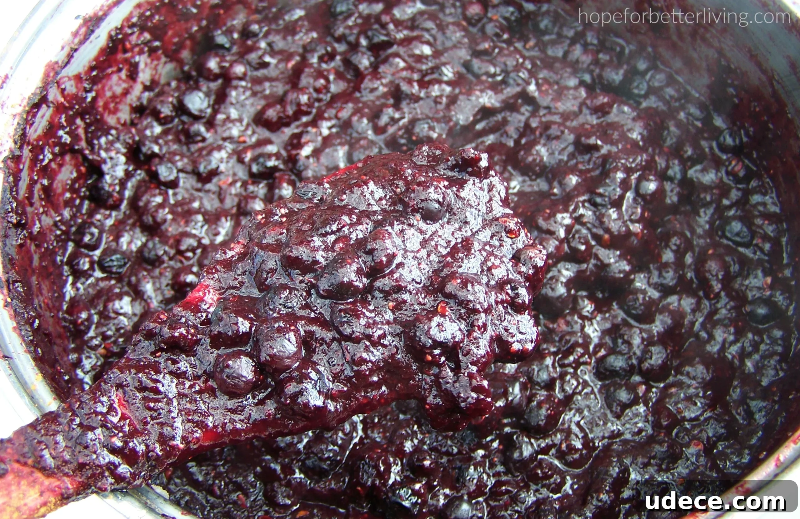 Jam Without Pectin: Simple Stove-Top Strawberry & Mixed Fruit Recipes 4 pectin-free canning