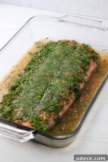 Homemade Gravlax: Simple Cured Salmon with Dill and Citrus 9 Cured salmon in a glass dish topped with chopped fresh dill.