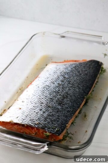 Homemade Gravlax: Simple Cured Salmon with Dill and Citrus 10 Side of salmon in a glass dish skin side up.