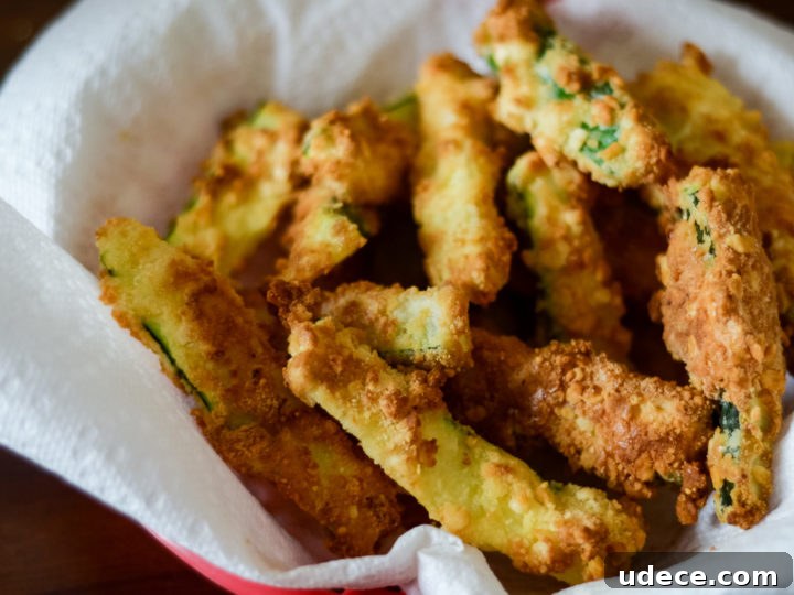 Image for Air Fryer Zucchini Fries