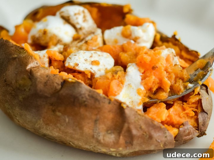 Image for Air Fryer Sweet Potatoes