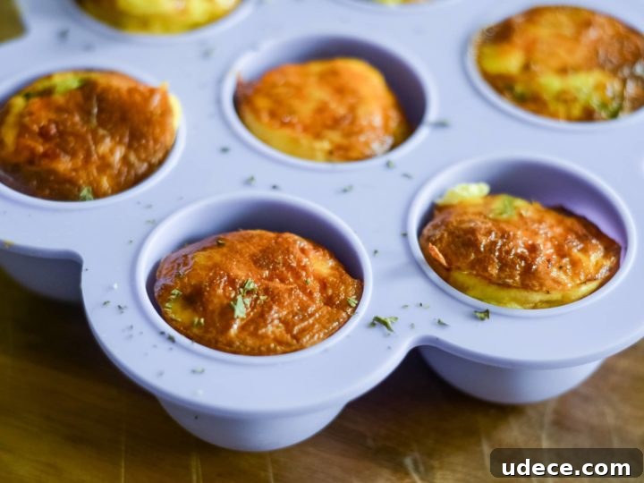 Image for Air Fryer Egg Bites