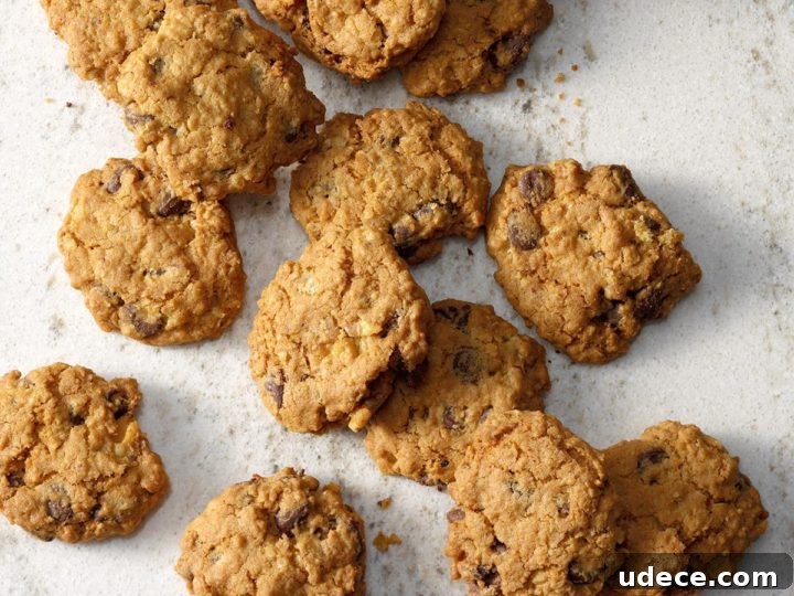 Image for Air-Fryer Chocolate Chip Oatmeal Cookies