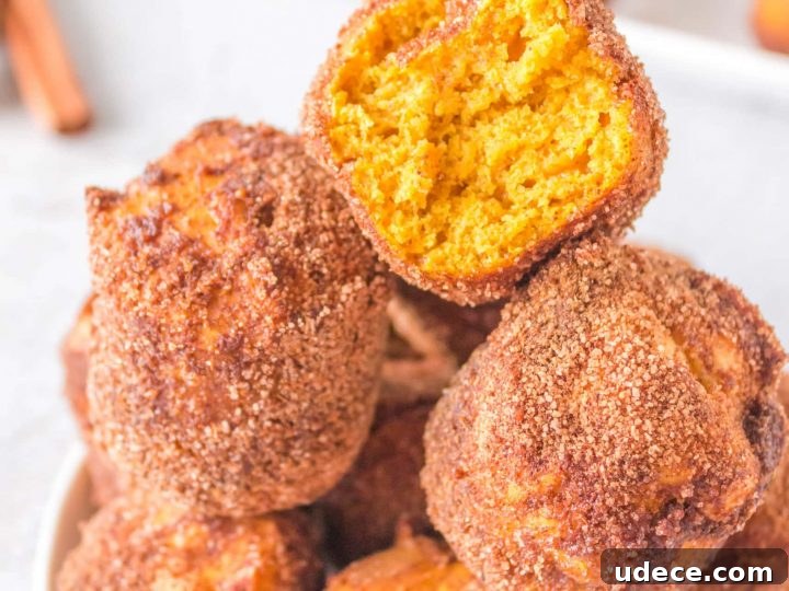 Image for Air Fryer Pumpkin Doughnut Holes