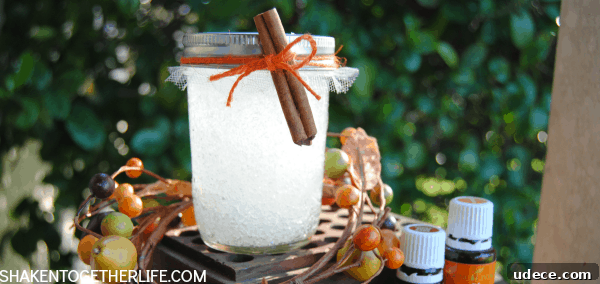 DIY Cinnamon Orange Air Freshener: Homemade Scented Spray Tutorial 2 Make a cinnamon orange air freshener - great Fall gift idea!