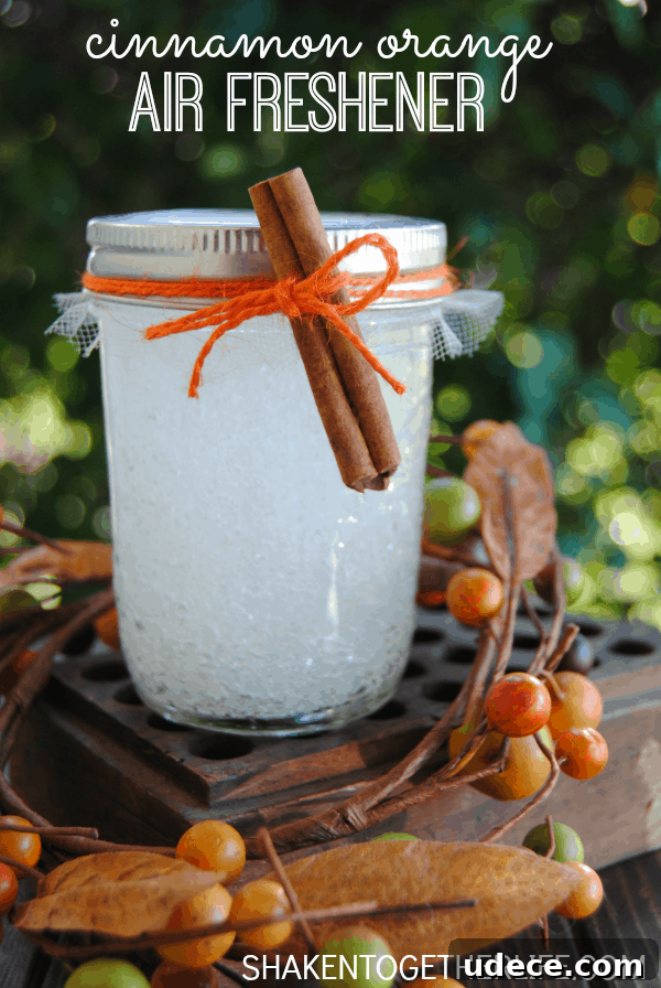 DIY Cinnamon Orange Air Freshener: Homemade Scented Spray Tutorial 3 Make a Cinnamon Orange Air Freshener - a great Fall gift idea! It smells just like Autumn!