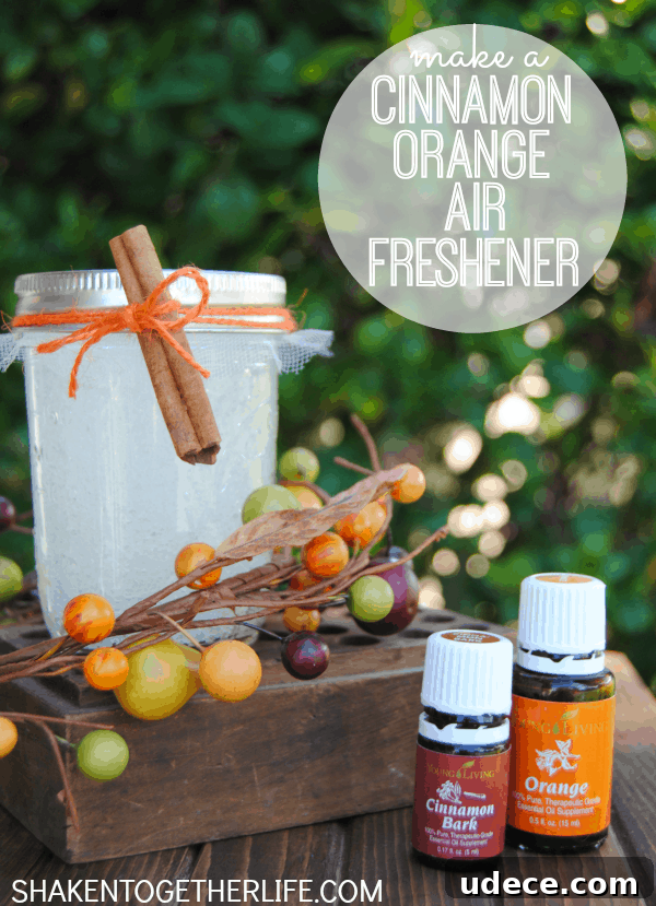 DIY Cinnamon Orange Air Freshener: Homemade Scented Spray Tutorial 4 Make a cinnamon orange air freshener - great Fall gift idea!