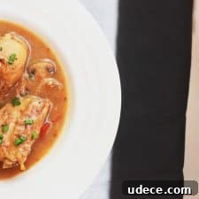 Hearty Chicken Stew Recipe for Cozy Weeknight Dinners 4 A picture of Chicken Stew served in a white bowl.