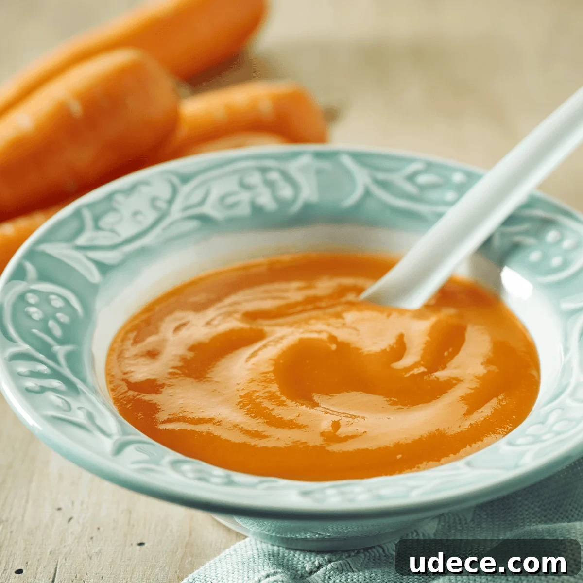 carrot baby food carrot baby food