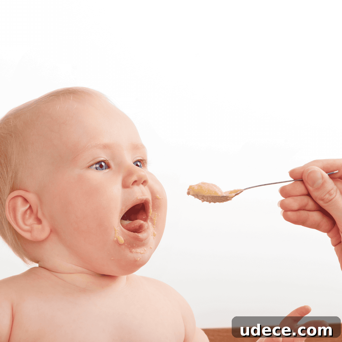 baby being spoonfed baby food baby being spoonfed baby food