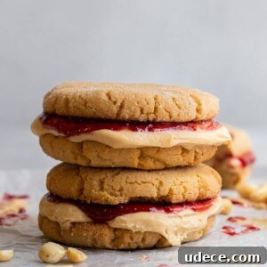 Peanut butter and jelly cookie sandwich