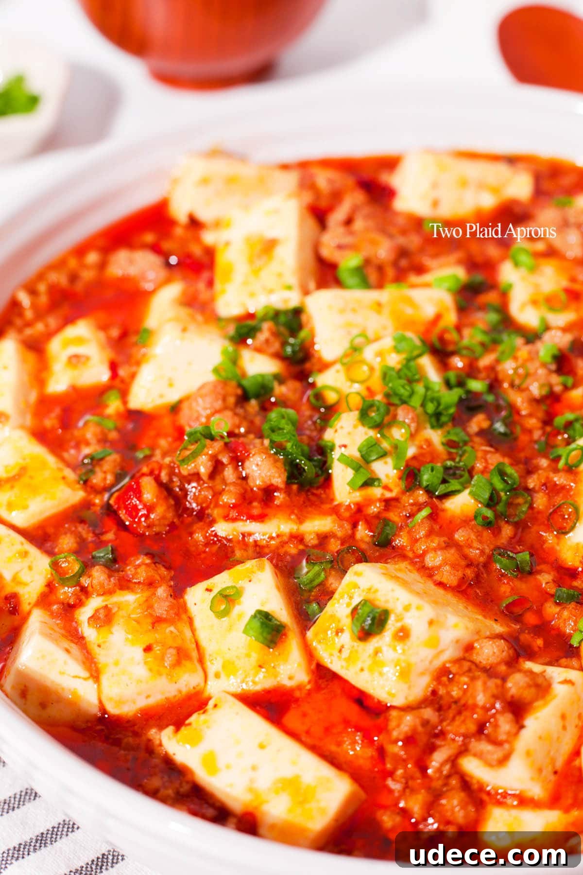Authentic Mapo Tofu Recipe: Spicy Sichuan Classic 3 img 6986 2