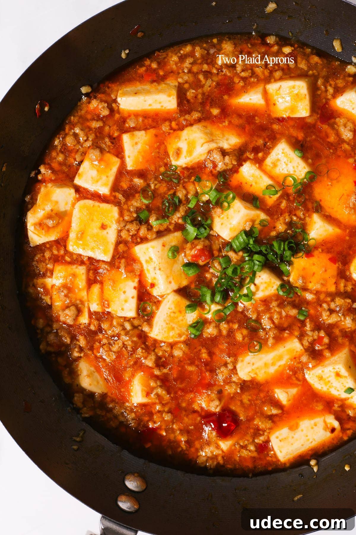 Authentic Mapo Tofu Recipe: Spicy Sichuan Classic 9 img 6986 8