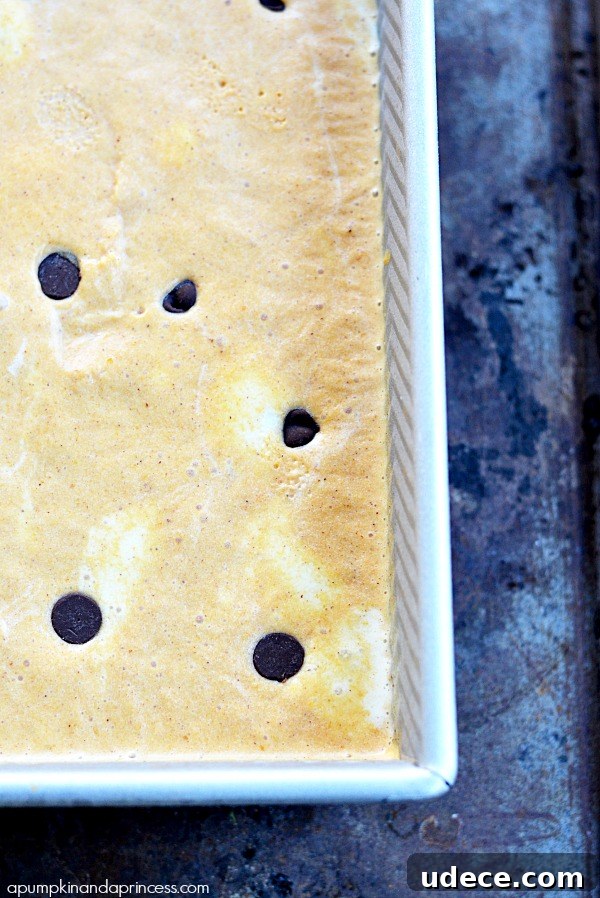 Chocolate Chip Pumpkin Ice Cream