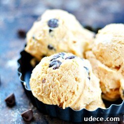 Chocolate Chip Pumpkin Ice Cream