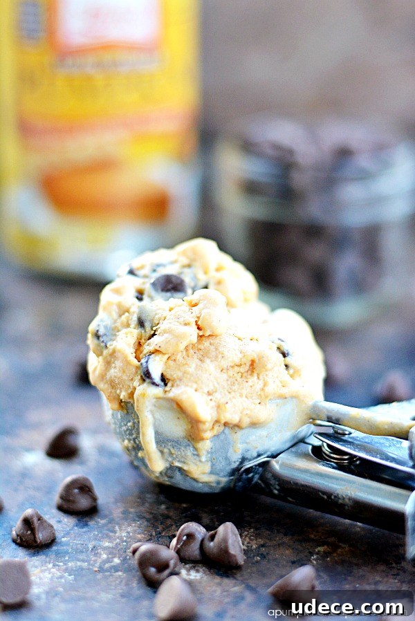 Pumpkin Chocolate Chip Ice Cream Recipe: Creamy Fall Dessert 5 Easy Pumpkin Ice Cream Recipe