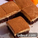 Chewy Pumpkin Brownies with Spiced Cream Cheese Swirl 4 pumpkin brownies