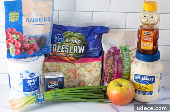 Cranberry Apple Coleslaw Recipe — Fresh Holiday Side Dish 3 ingredients.