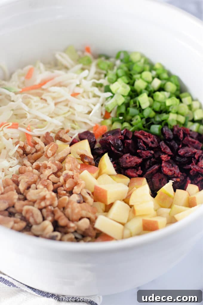 Cranberry Apple Coleslaw Recipe — Fresh Holiday Side Dish 5 walnuts, apples, dried cranberries, green onion, and coleslaw mix in a large white mixing bowl.