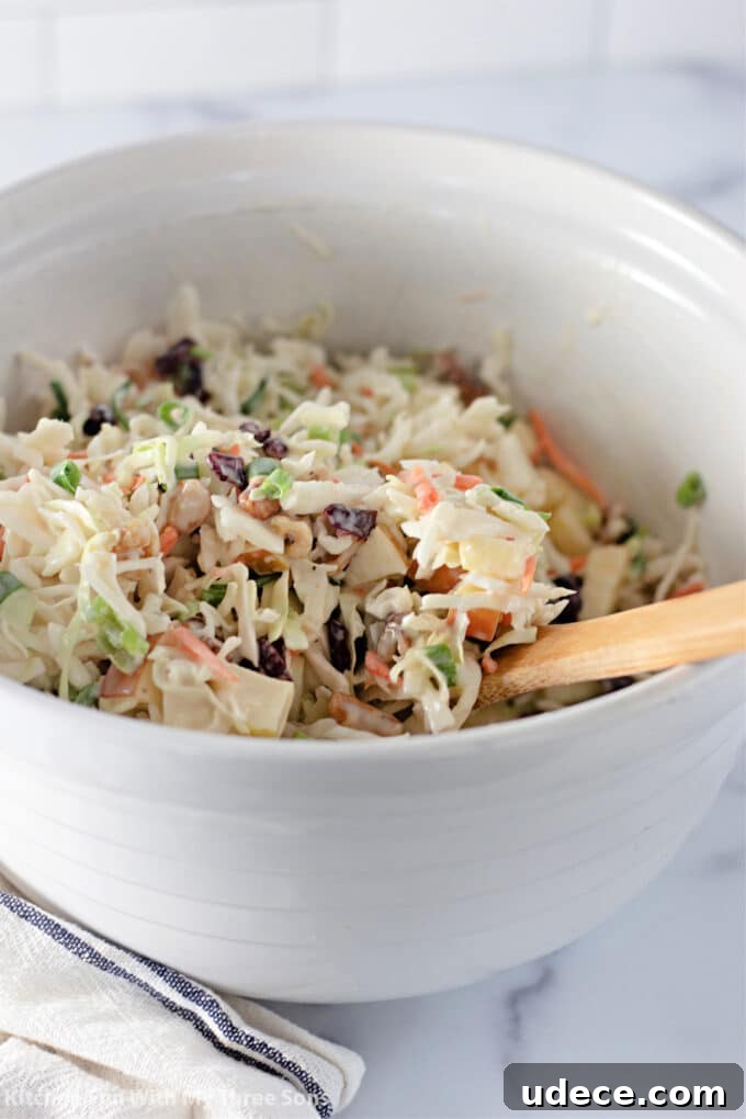 Cranberry Apple Coleslaw Recipe — Fresh Holiday Side Dish 7 freshly tossed Cranberry Apple Coleslaw in a white mixing bowl.
