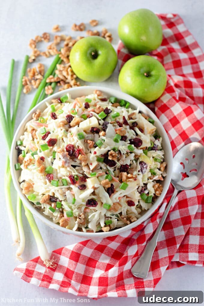 Cranberry Apple Coleslaw Recipe — Fresh Holiday Side Dish 8 homemade Cranberry Apple Coleslaw with a red checkered napkin.