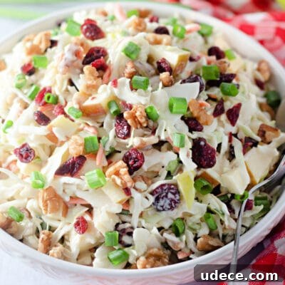 Cranberry Apple Coleslaw Recipe — Fresh Holiday Side Dish 9 Cranberry Apple Coleslaw
