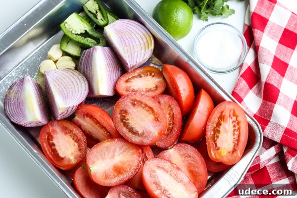 Smoked Salsa Recipe for Pellet Grills — Bold, Smoky Flavor 3 smoked salsa