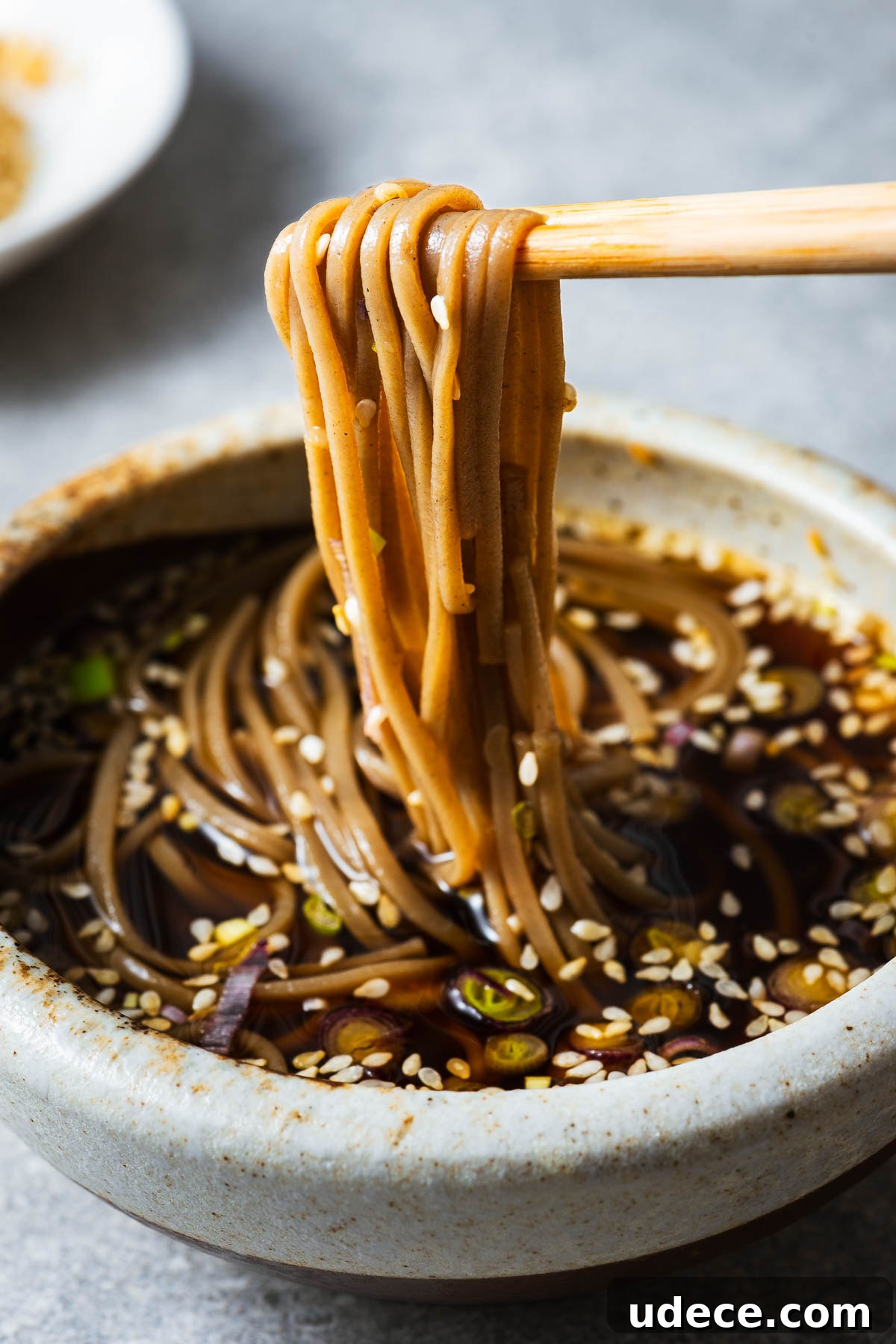 Cold soba noodles dipped into a mentsuyu noodle dipping sauce.
