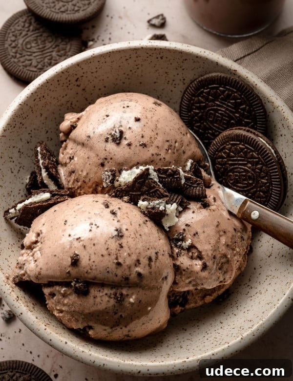 Chocolate Oreo protein ice cream