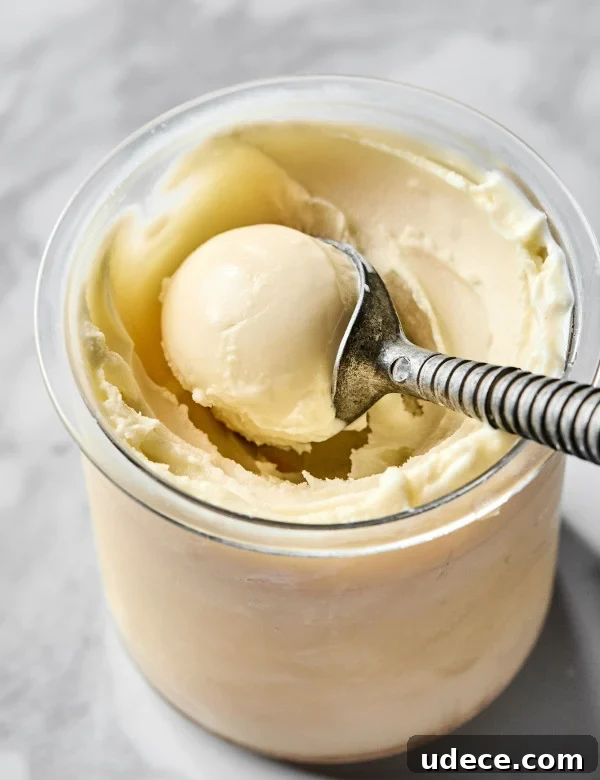 Vanilla protein ice cream
