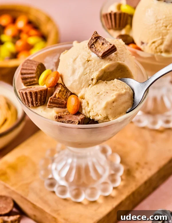 Peanut butter cup protein ice cream