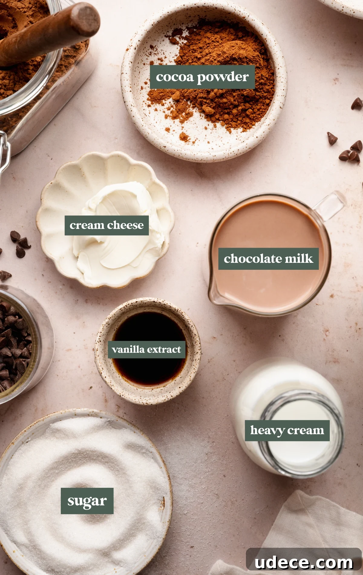 Rich Chocolate Ice Cream Recipe for Ninja Creami Machines 5 Ingredients for chocolate ice cream