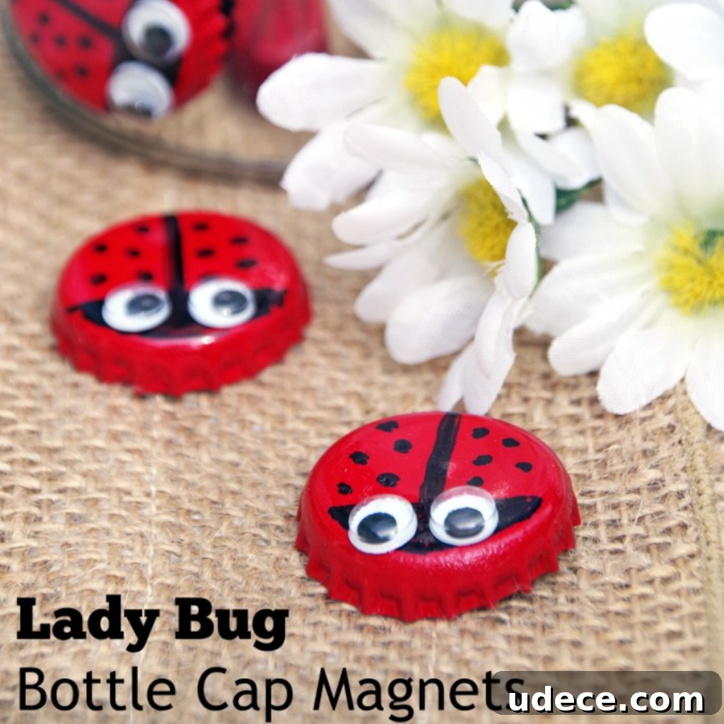 15 Creative Bottle Cap Crafts You Can Make Today 13 BOTTLE CAP MAGNET LADY BUGS