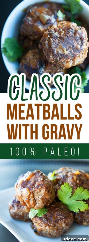 Classic Meatballs in Rich Brown Gravy 5 Classic Meatballs with Gravy