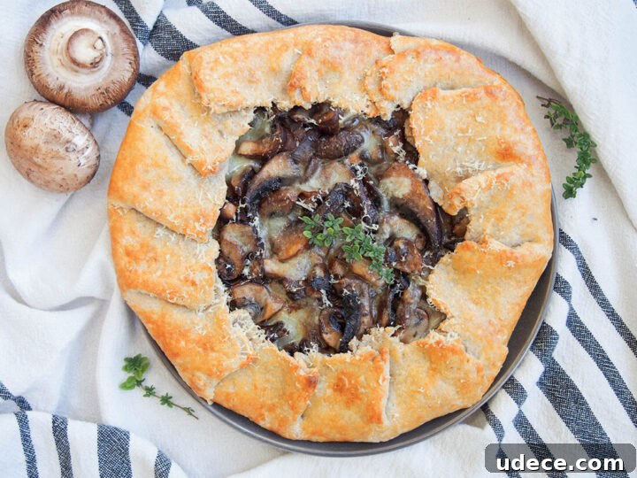 Image for Mushroom galette