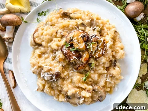 Image for Creamy Mushroom Risotto