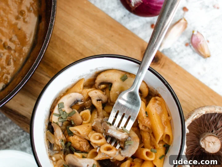 Image for Creamy Vegan Mushroom Stroganoff Recipe