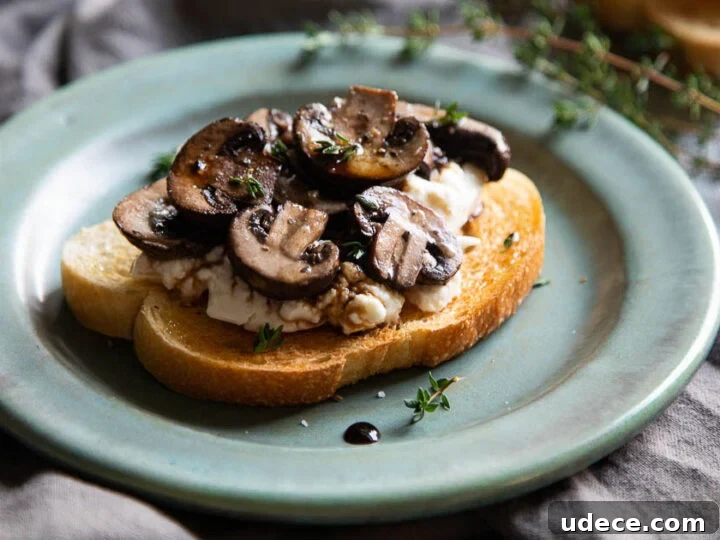 Image for Mushroom Crostini with Burrata