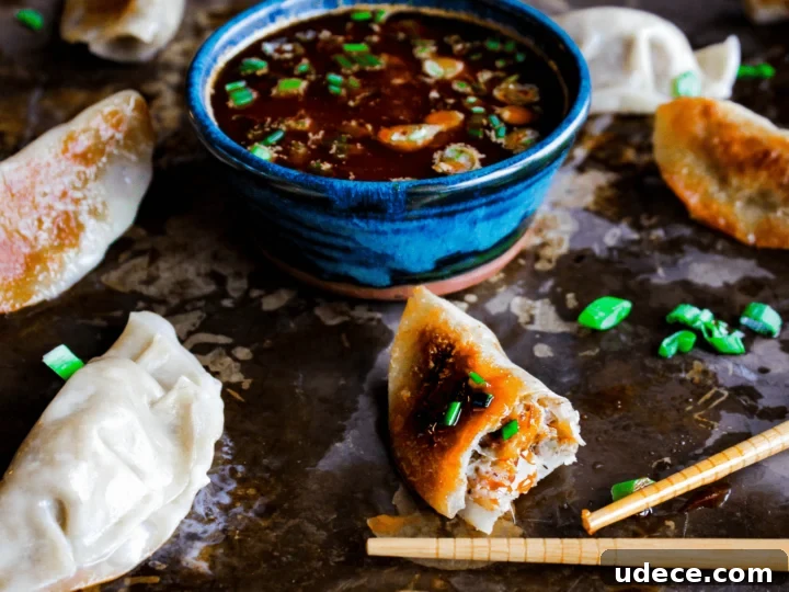 Image for Mushroom Dumplings