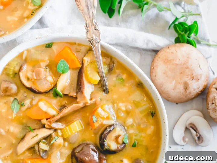 Image for Wild Mushroom Soup