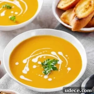 30+ Vegetarian Dinner Ideas That Make You Forget Meat Forever 15 Butternut squash soup with sour cream and cilantro.